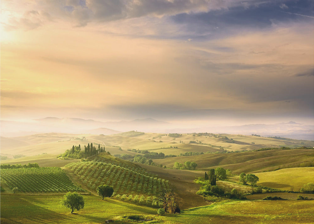 Podere Belvedere's Sunrise | Canvas