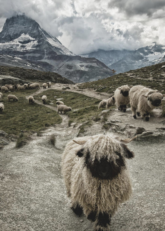 Out of my way | Canvas