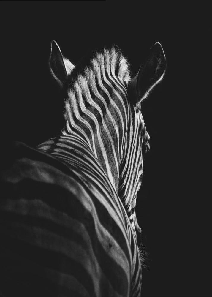 Stepping Down #6 | Canvas