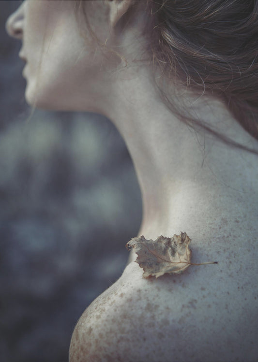 the leaf | Canvas