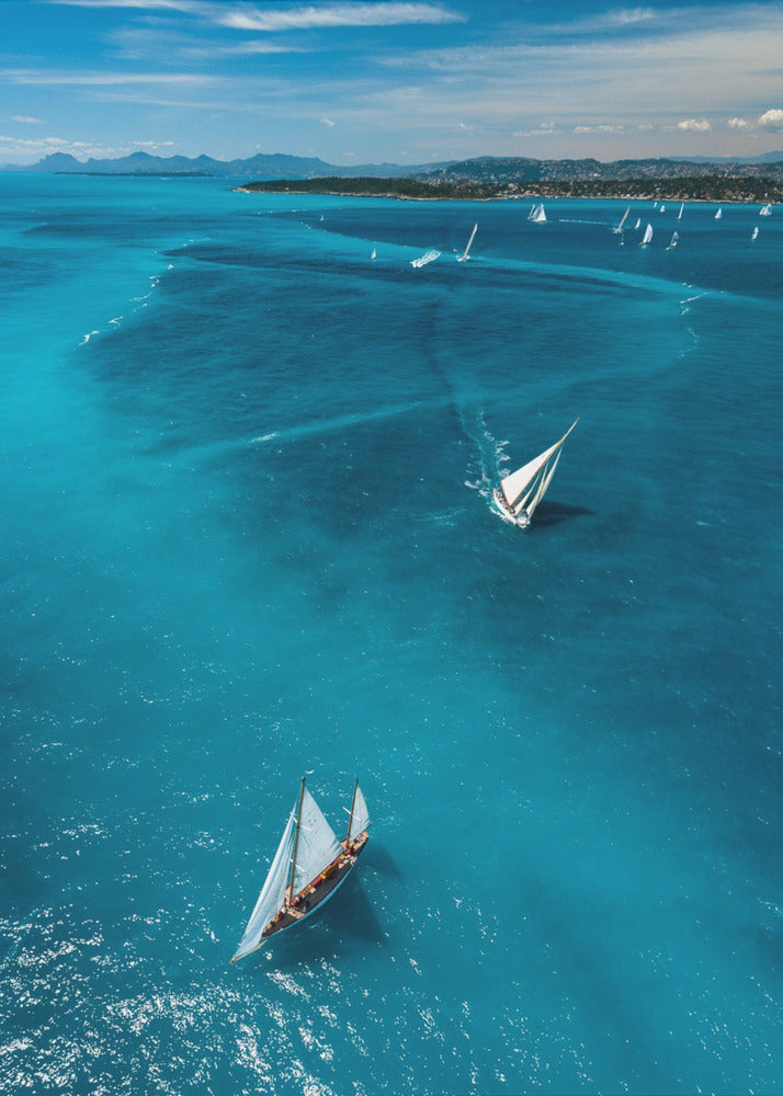 Above the race | Canvas