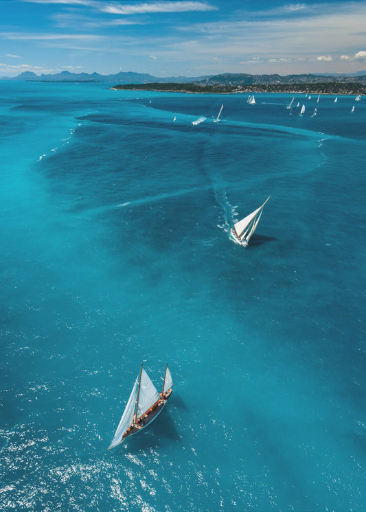 Above the race | Canvas