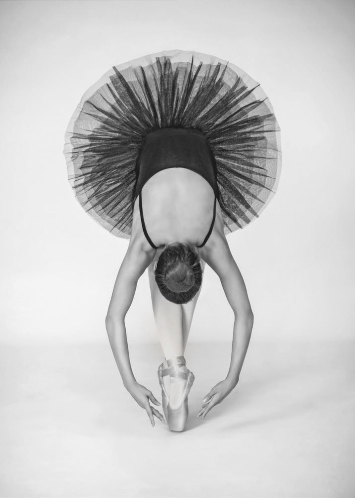 Ballet Technique | Poster