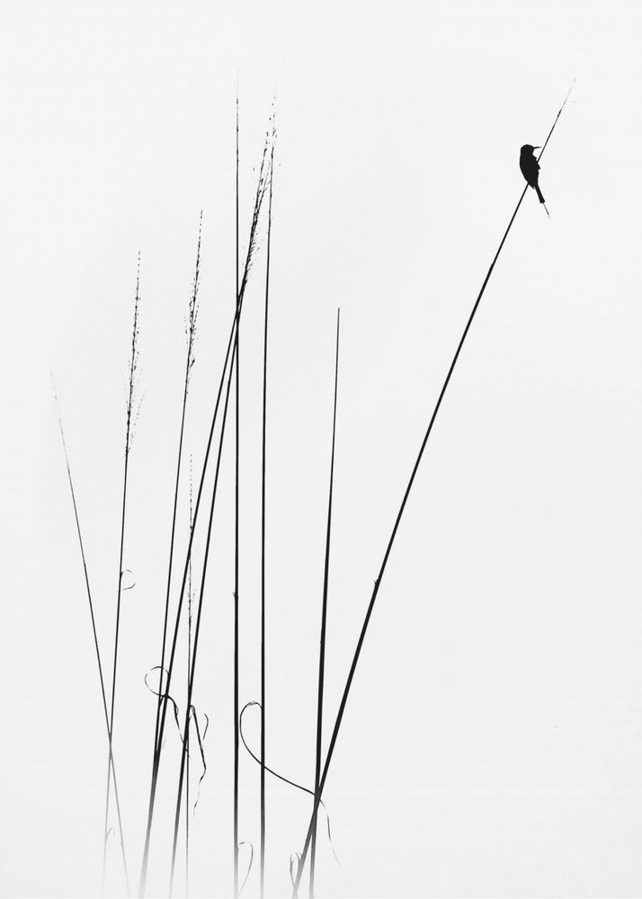 a sabbatical | Poster