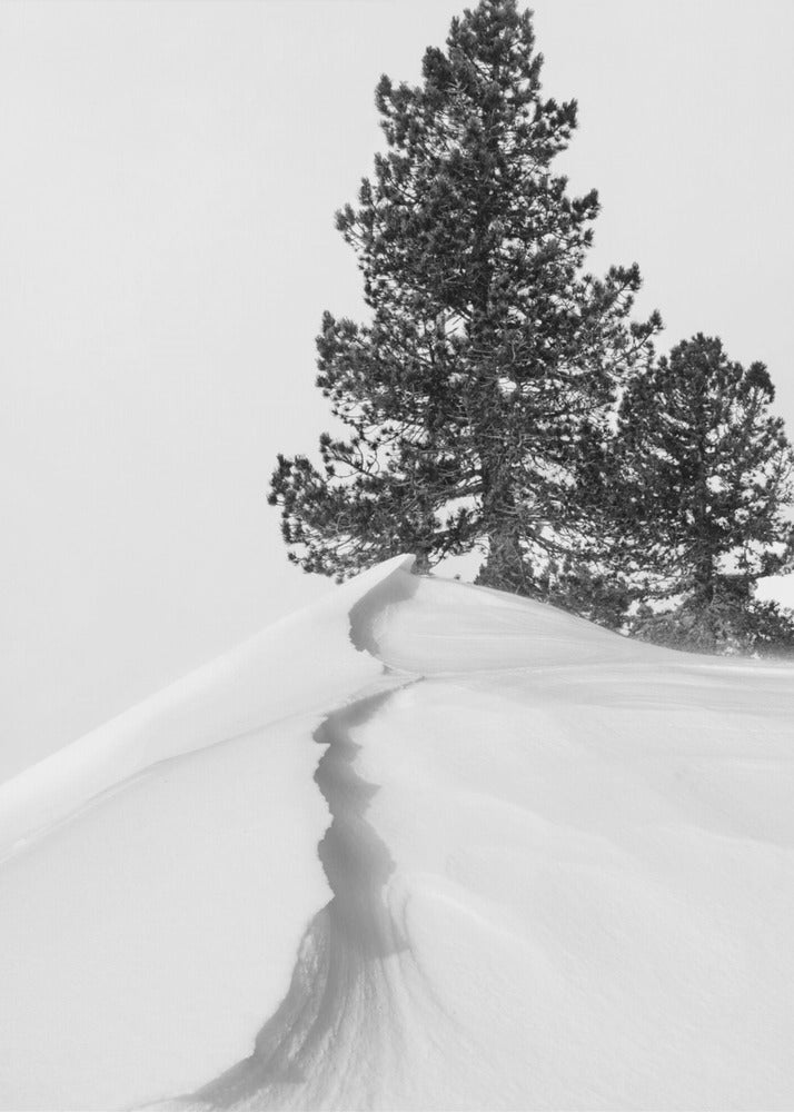 About the snow and forms | Canvas