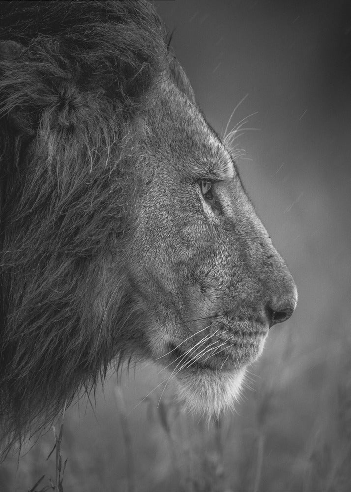 Thinking Under The Rain | Poster