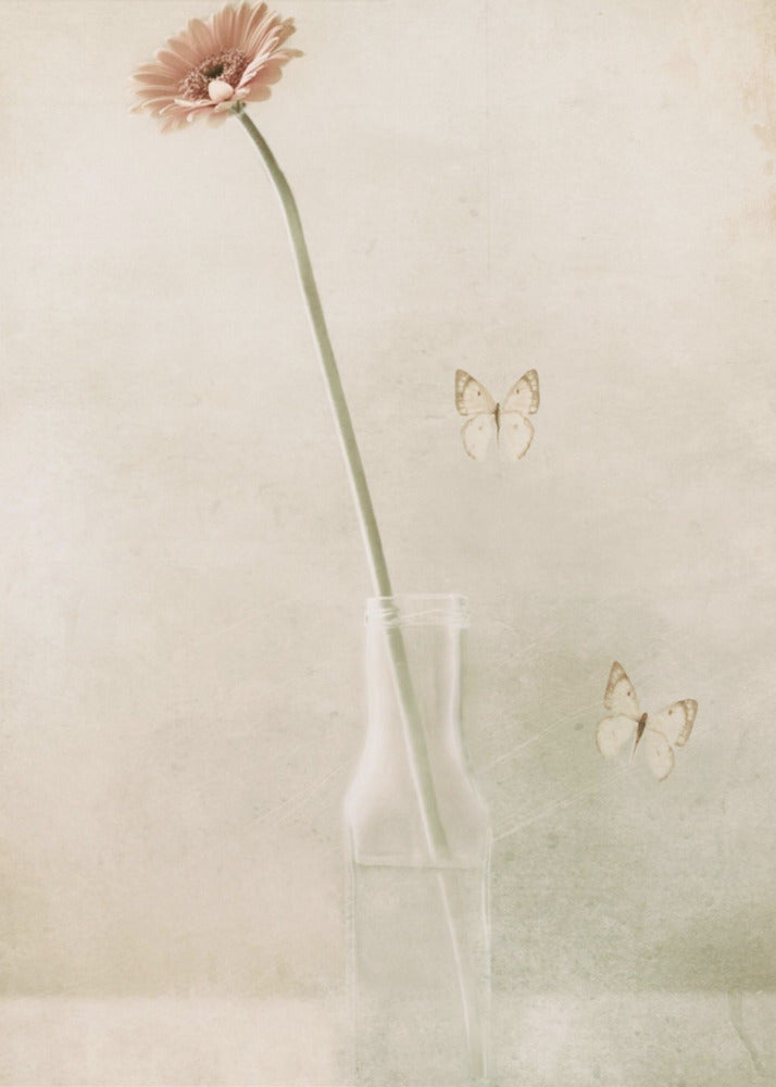Miss Daisy | Poster