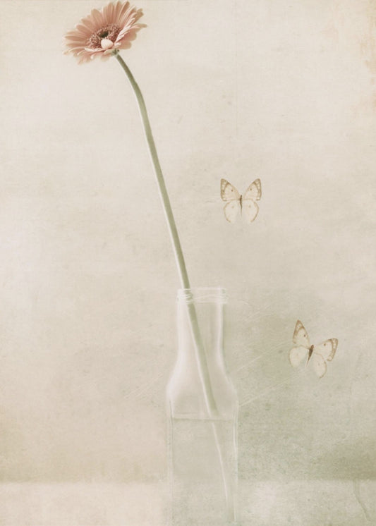 Miss Daisy | Poster