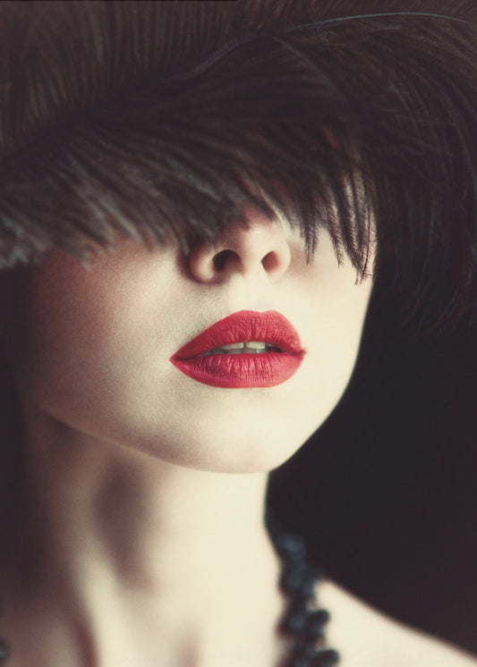 Lips and feather | Canvas