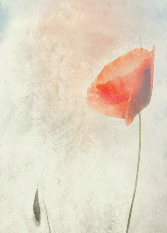 We should not sleep... | Poster