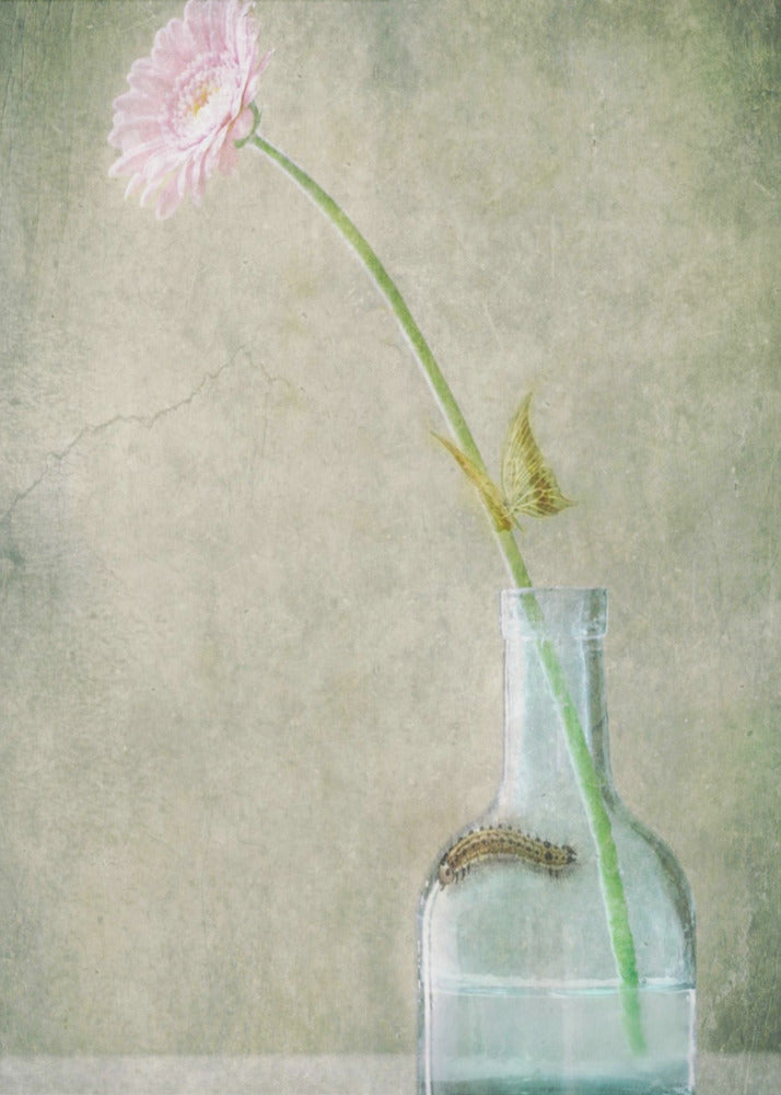 A Quiet Summer Day | Canvas