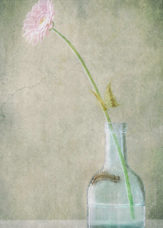 A Quiet Summer Day | Canvas