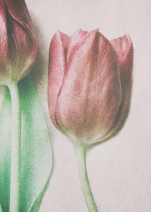 The Spring Lovers | Canvas