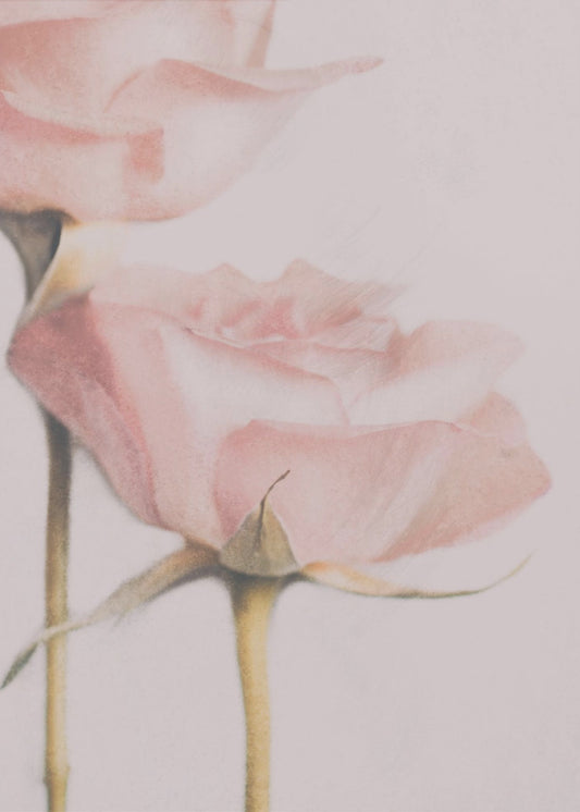 Two Roses | Poster