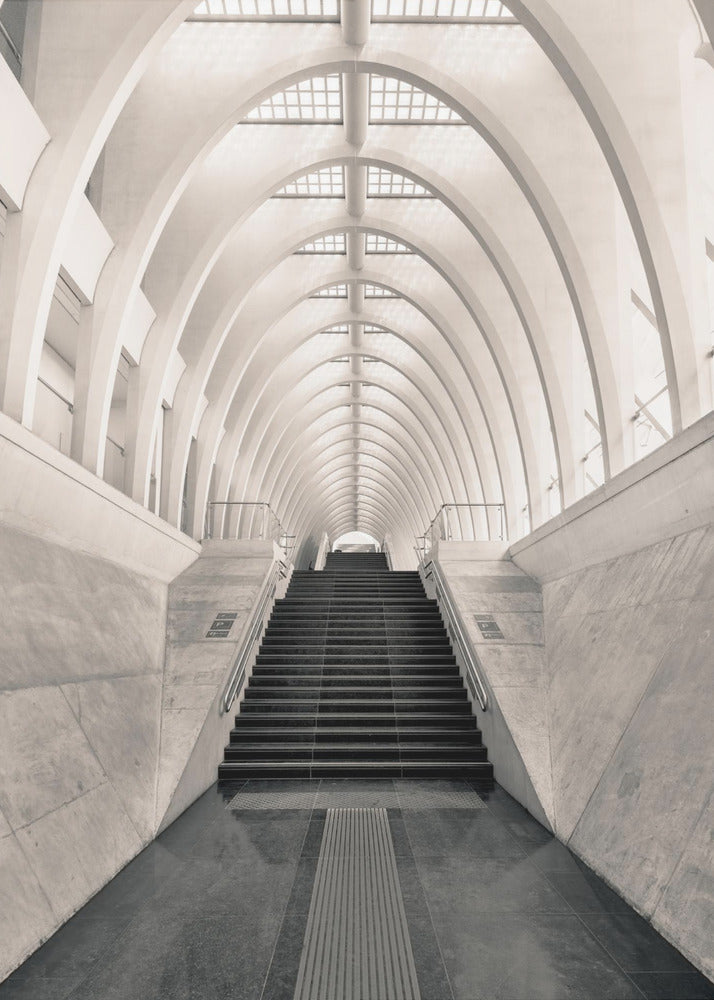 Inside Calatrava | Poster