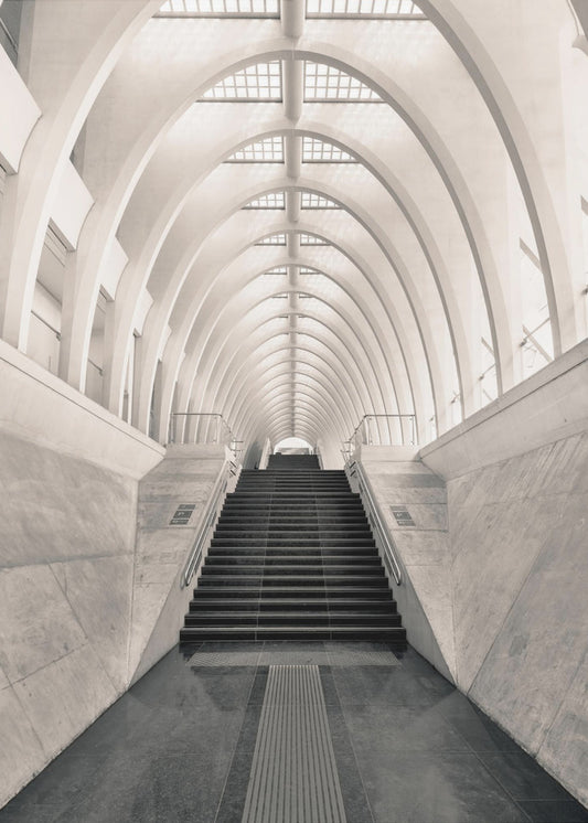 Inside Calatrava | Poster