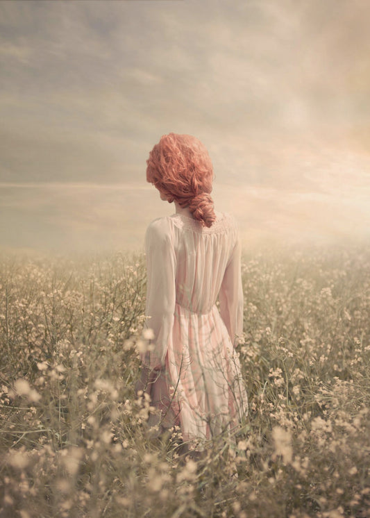 Field in Pastel | Canvas