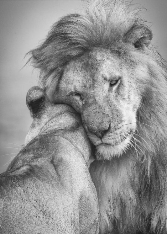 African Love! | Canvas