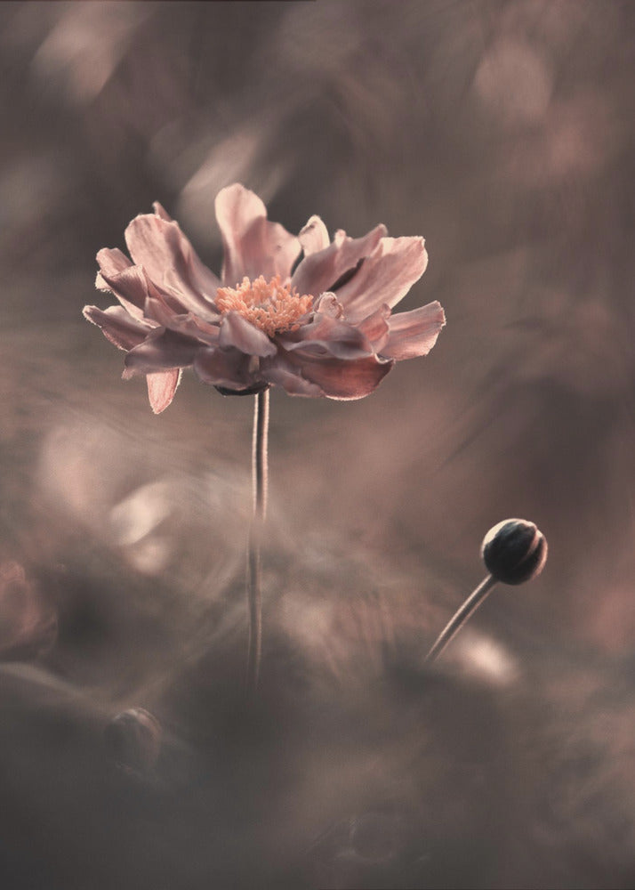 Un prÃ©sent et un futur rÃ©volus. Un passÃ© prÃ©sent | Canvas