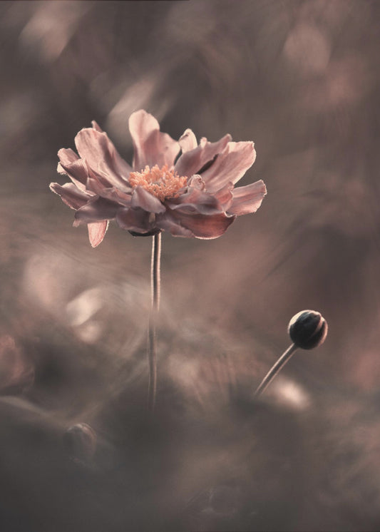 Un prÃ©sent et un futur rÃ©volus. Un passÃ© prÃ©sent | Canvas