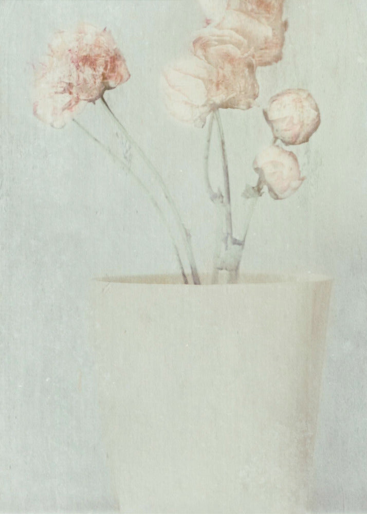 Sweet Vintage | Canvas