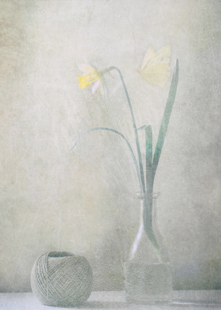 Spring at Home | Canvas