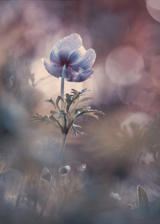 A brighter future | Poster