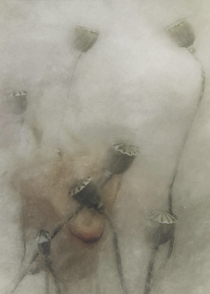 hopeful future | Canvas