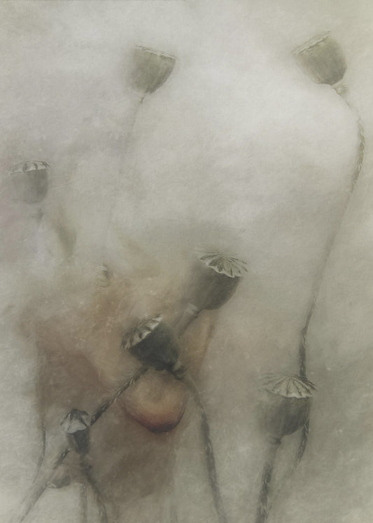 hopeful future | Canvas