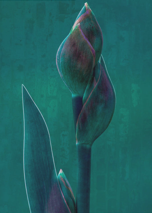 Blue charade. | Canvas