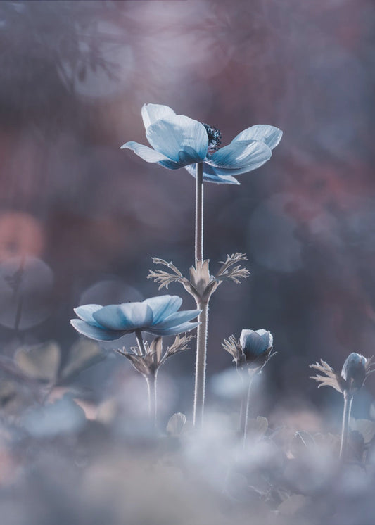 The beginning of a new era | Poster