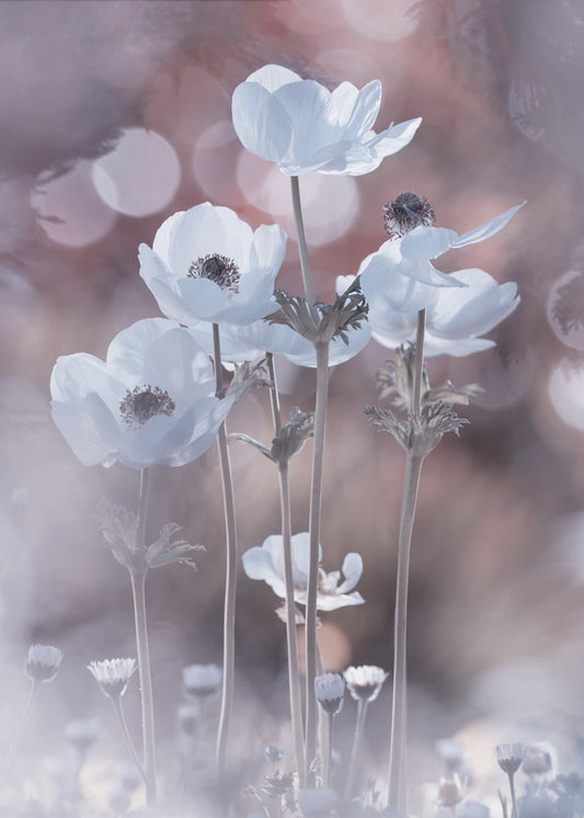 All the flowers of all the tomorrows are in the seeds of today | Canvas