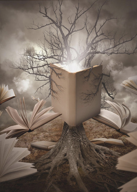 Old Tree Reading Story Book | Canvas