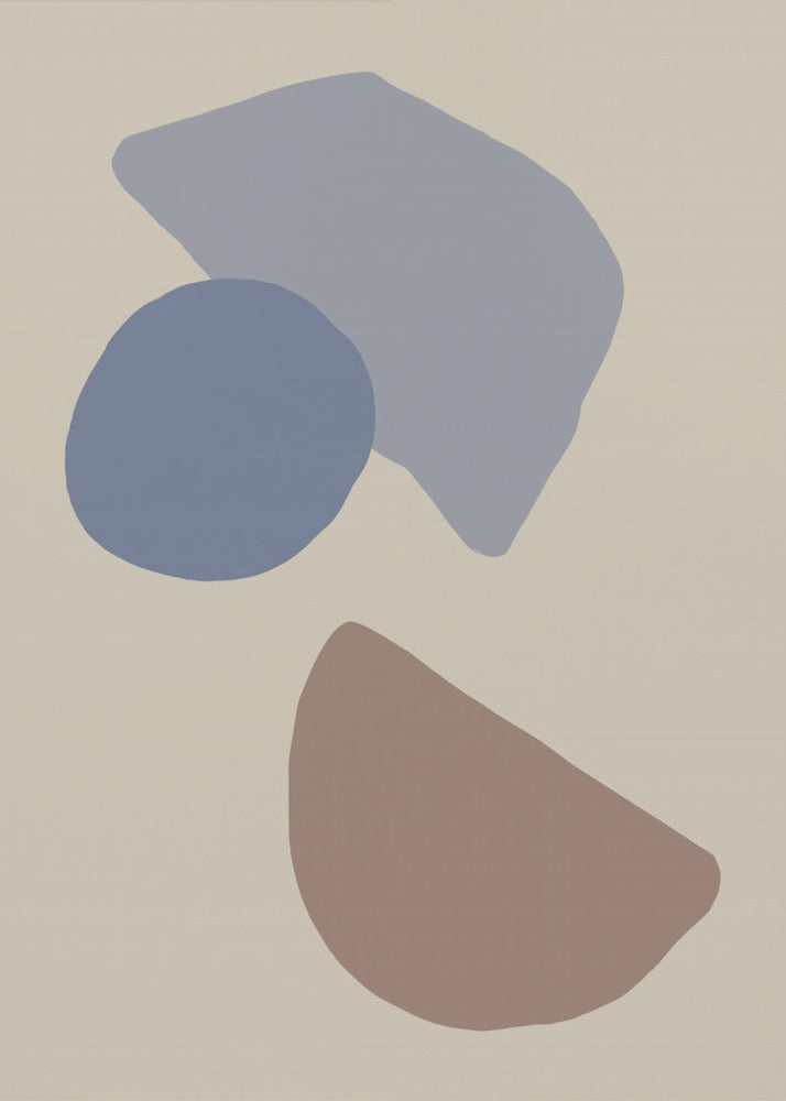 Organic Shapes 04 | Canvas