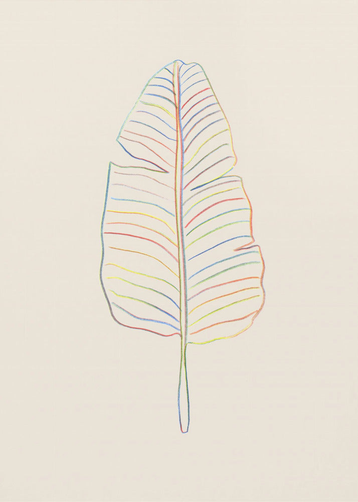Banana Rainbow Leaf | Poster