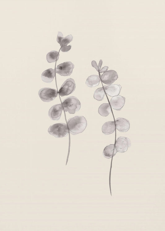 Eucalyptus Twigs | Poster
