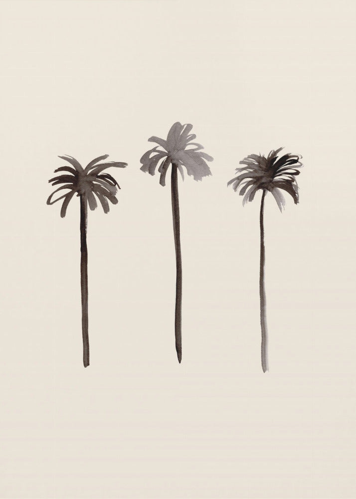 Palm Trees Ink | Canvas