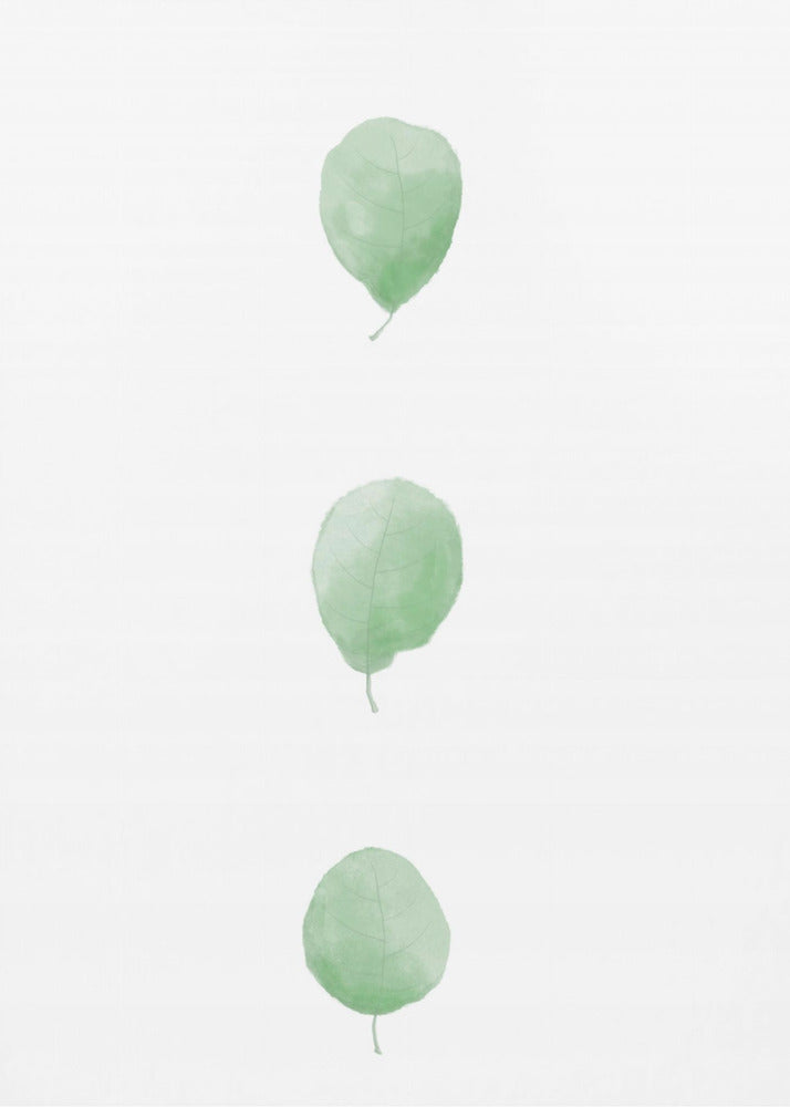 Birch Leaves in Row | Poster