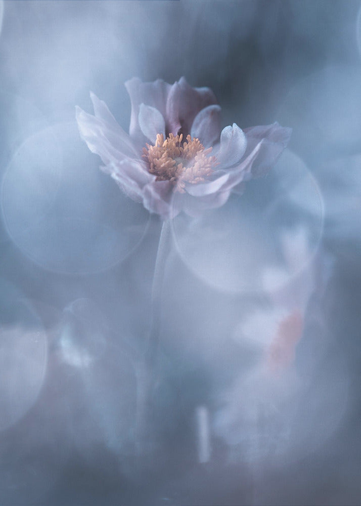 Deep immersion | Canvas