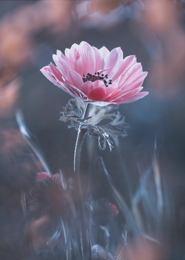 Standing in beauty | Poster