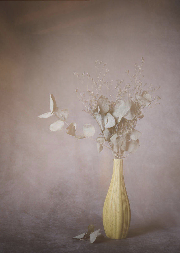 Every morning of world | Canvas