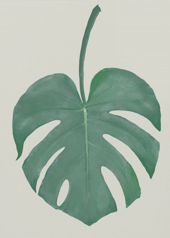Monstera Aqua 05 | Canvas