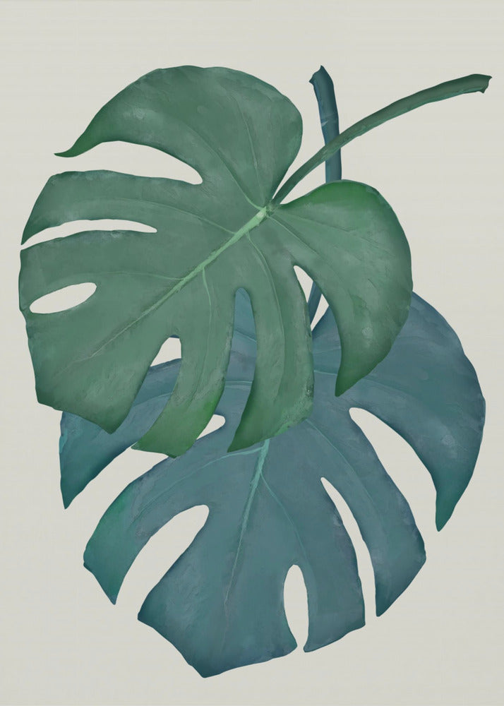 Monstera Aqua 06 | Canvas