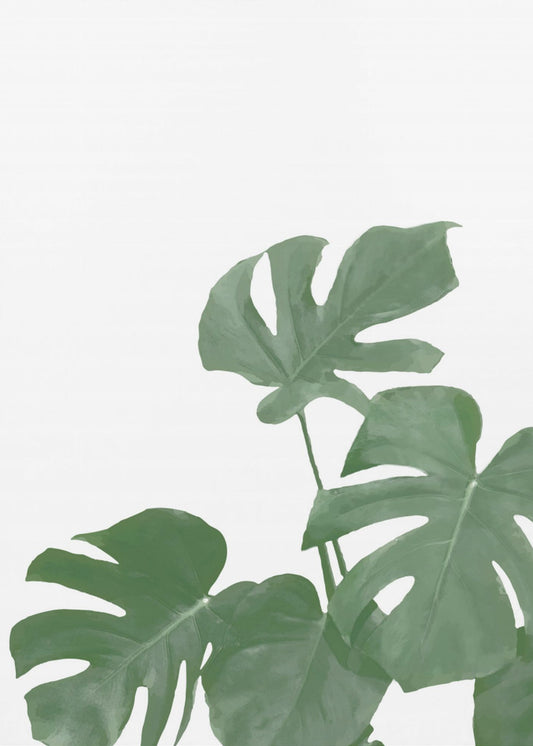 Monstera Aqua 04 | Poster