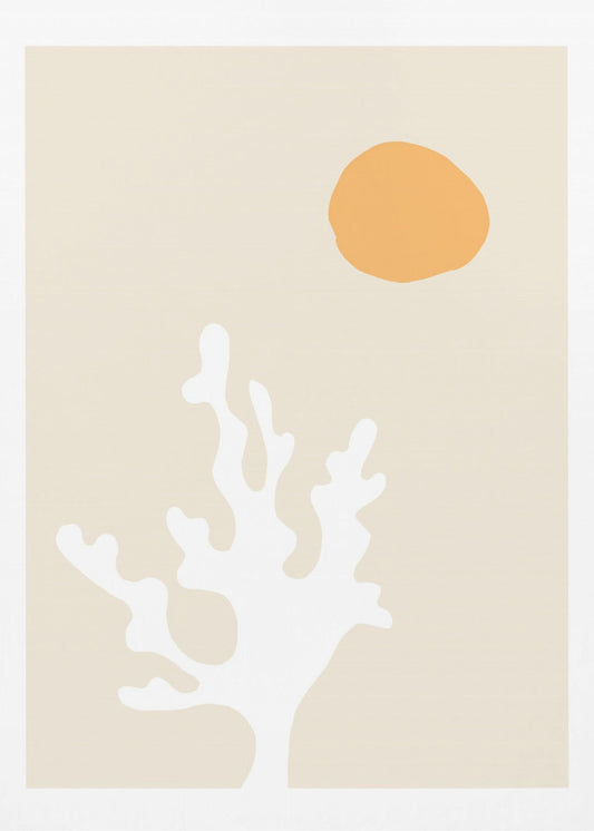 Seaweed in the Sun | Poster