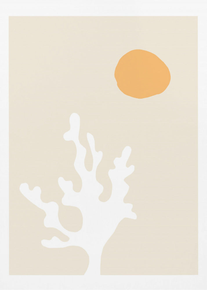 Seaweed in the Sun | Canvas