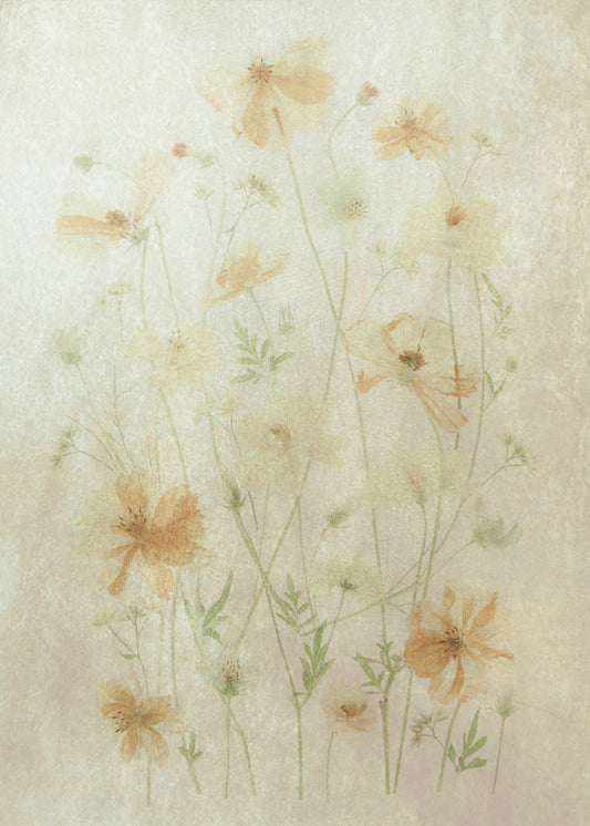 Yellow Cosmos | Canvas