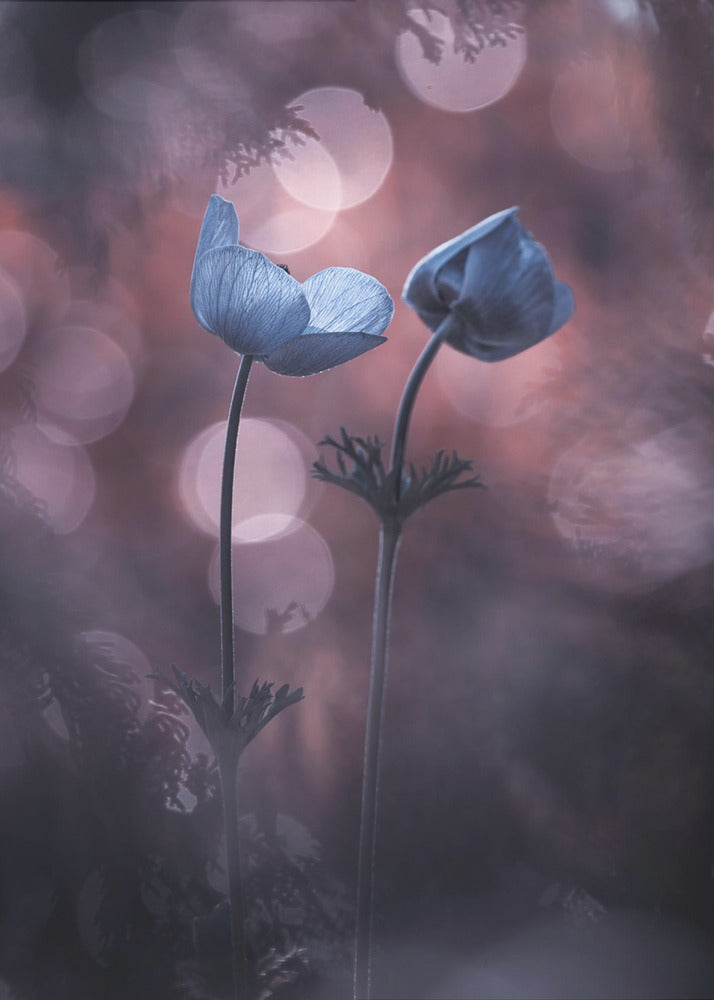 Why does my heart feel so bad | Poster