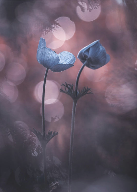 Why does my heart feel so bad | Canvas