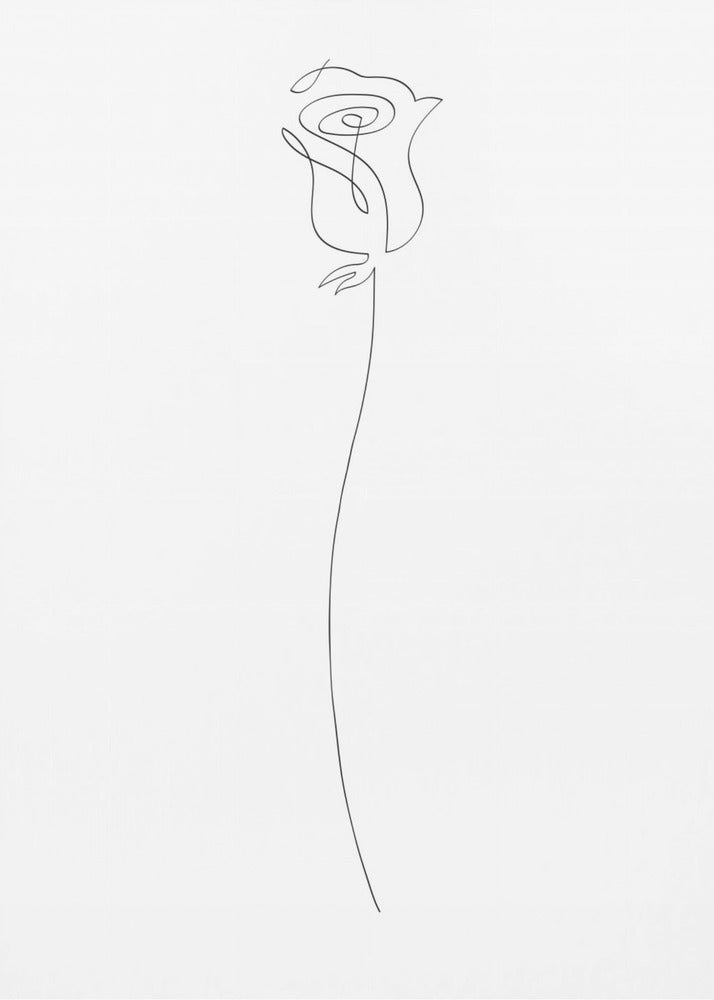Rose | Poster